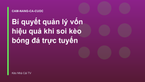 Read more about the article Bí quyết quản lý vốn hiệu quả khi soi kèo bóng đá trực tuyến