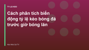 Read more about the article Cách phân tích biến động tỷ lệ kèo bóng đá trước giờ bóng lăn